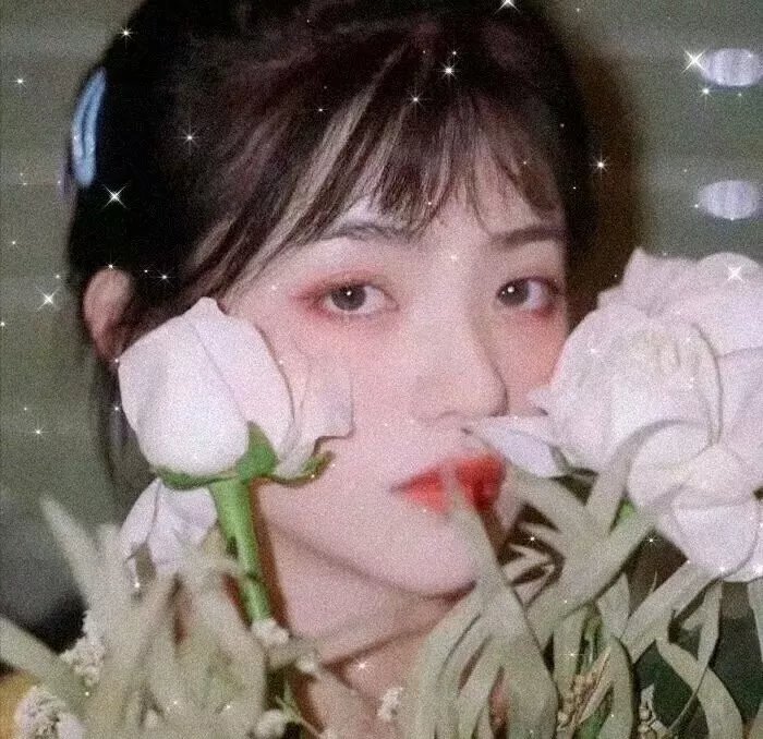 是谁吻了我